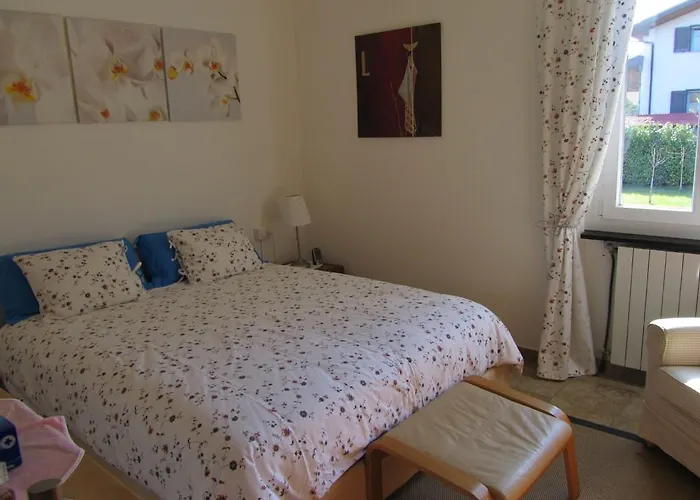 Degli Aceri Сорико